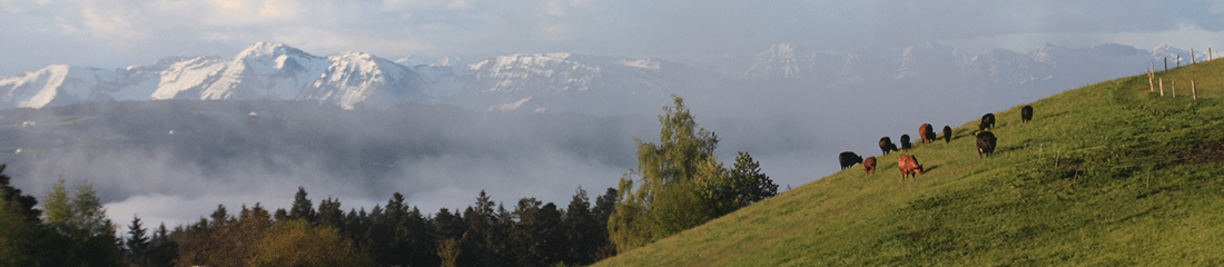 Header Slider Image